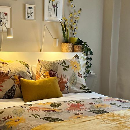 Apartamento Haza 科爾多瓦 外观 照片