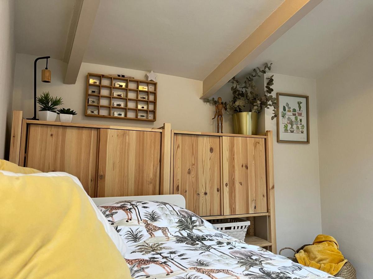 Apartamento Haza 科爾多瓦 外观 照片